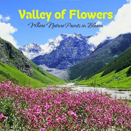 Valley of Flowers (2025): Trek with TourMyHoliday - Easy Guide